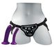 Набір для страпон Sportsheets Anal Explorer Kit, для новачків, 2 насадки, діаметр 2см і 3,5см, Фиолетовый