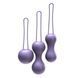 Набор вагинальных шариков Je Joue - Ami Purple, фиолетовый
