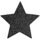 Прикраса на соски Bijoux Indiscrets - Flash Star Black