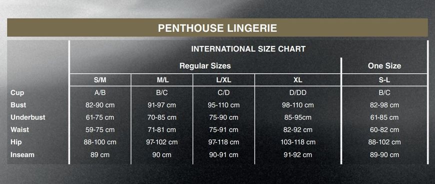 Міні-сукня Penthouse Bedtime Surprise XL Black, велика сітка, рукави, вертикальні вставки