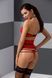 AKITA SET red S/M - Passion