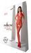 Бодистокинг с плетением на животике Passion BS100 One Size, red, декоративный шов, с доступом