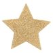 Прикраса на соски Bijoux Indiscrets - Flash Star Gold