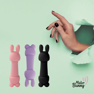 Минивибратор FeelzToys Mister Bunny Black с двумя насадками, черный