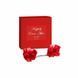 Подарунковий набір Bijoux Indiscrets Happily Ever After, червоний